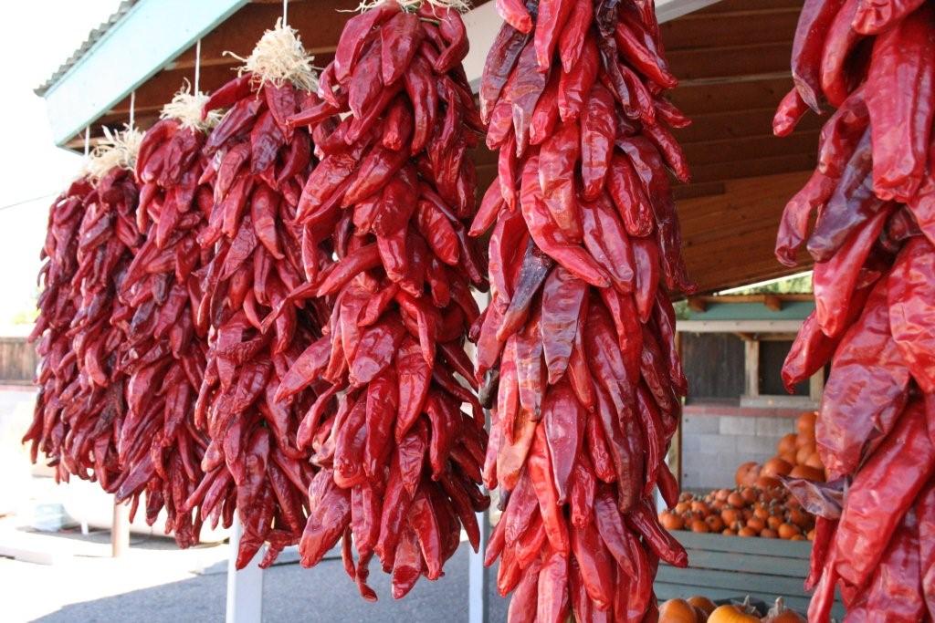 Click to enlarge - Ristas are garlands of chiles bound together for hanging and drying. 