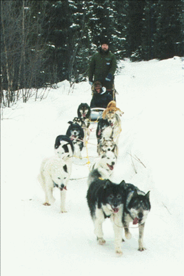 Janis and Larry on the Beachlake Trail System with a 12-dog team in 1999 - Click on to enlarge